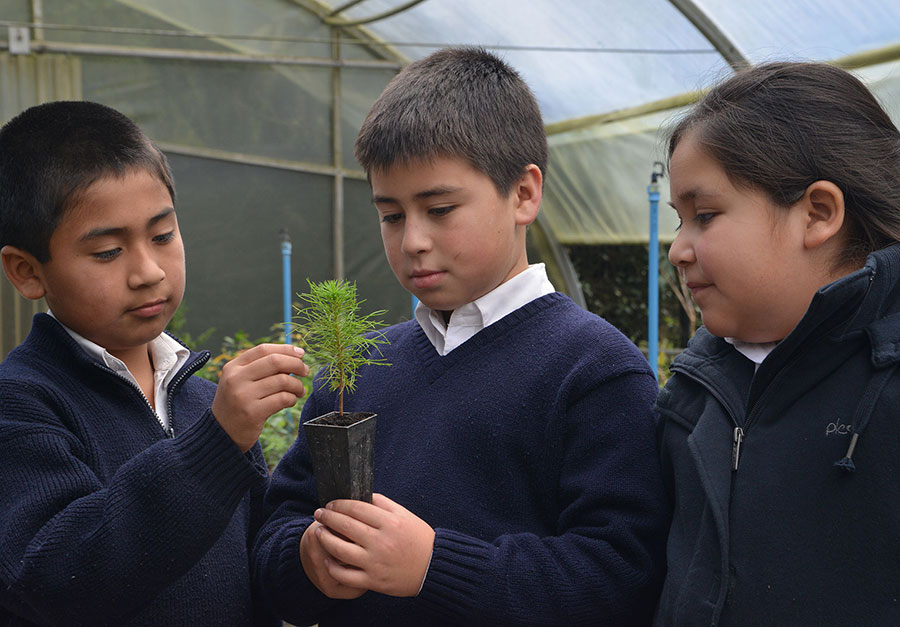 Conociendo el mundo forestal