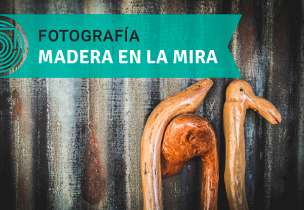 concursos_epe_foto