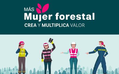 Diversidad e inclusión en la industria de la construcción