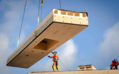 Innovación y Eficiencia en la Industria de la Construcción en Madera