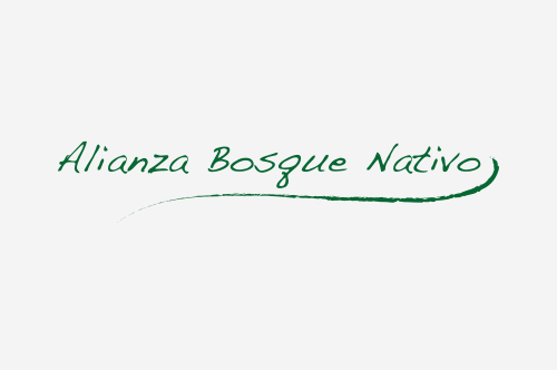 AlianzaB