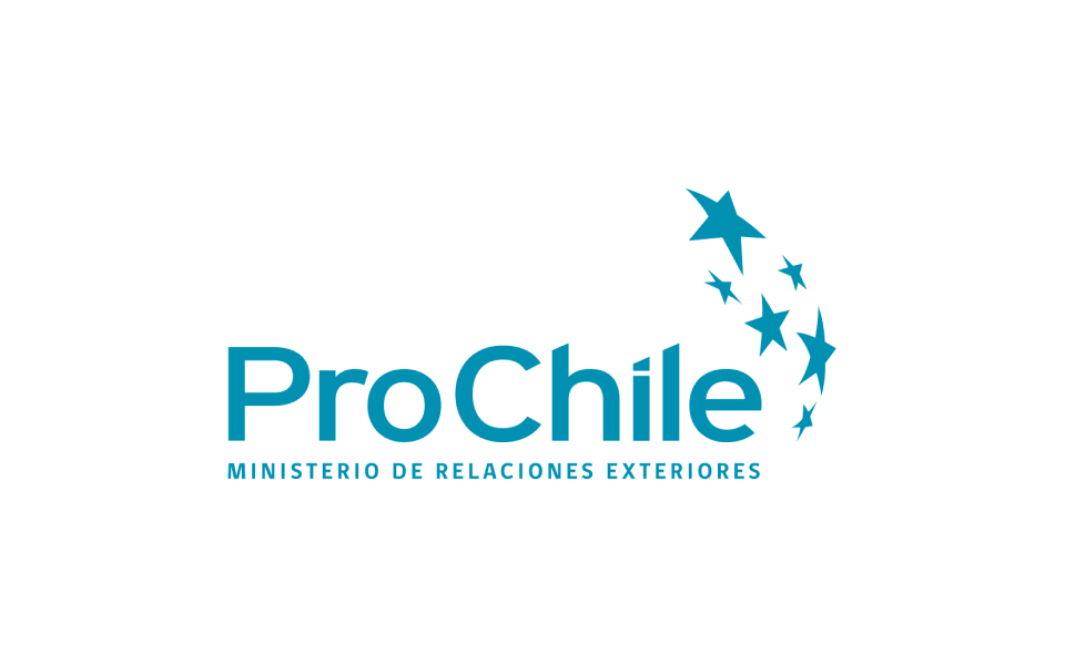 Logo Prochile