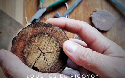 Elaborando objetos en picoyo