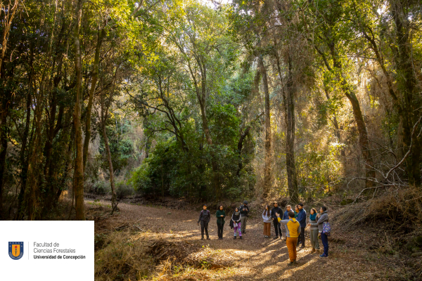 Facultad de Ciencias Forestales - Universidad de Concepción 2024