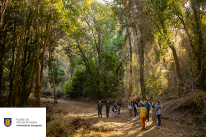 Facultad de Ciencias Forestales – Universidad de Concepción