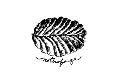 Logo Nothofaga HC 2025