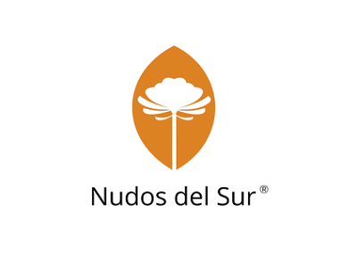 Logo Nudos del Sur HC 2025