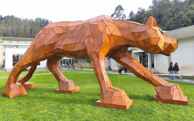 Espiritu de Madera: obras  y contenido del proceso creativo