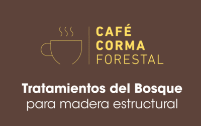 CAFÉ FORESTAL: Universidades chilenas