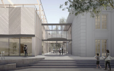 FUNDACIÓN TAD: El Valor de la Fibra desde la Conceptualización